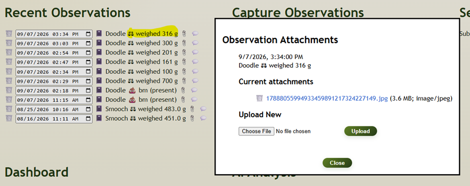 Screenshot sample